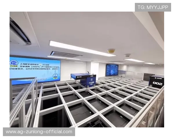 开云Kaiyun备用平台：优化企业资源配置确保业务不间断运行