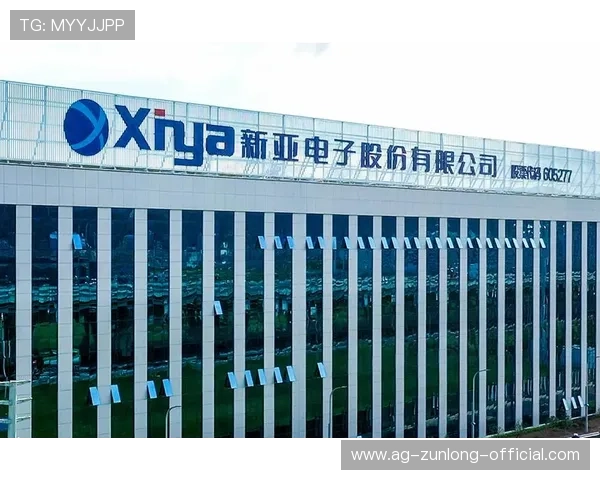 开云网页版功能介绍：全面解析最新版本中的主要特色与操作指南