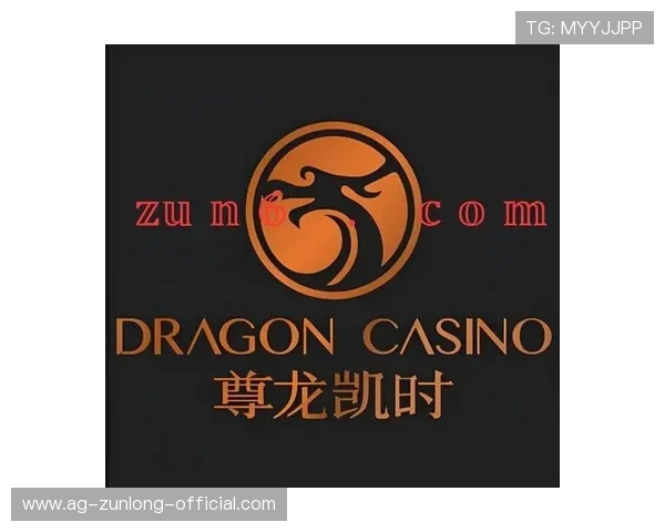 您不可错过的尊龙凯时百家乐官网，优质体验助您轻松获胜