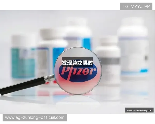 凯时尊龙网页登录用户评价，真实玩家分享使用体验与游戏乐趣