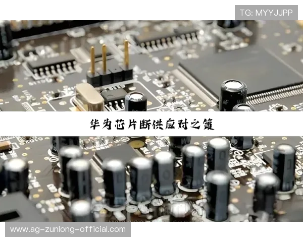 通过尊龙凯时Z6客户端下载 享受无缝连接的游戏体验